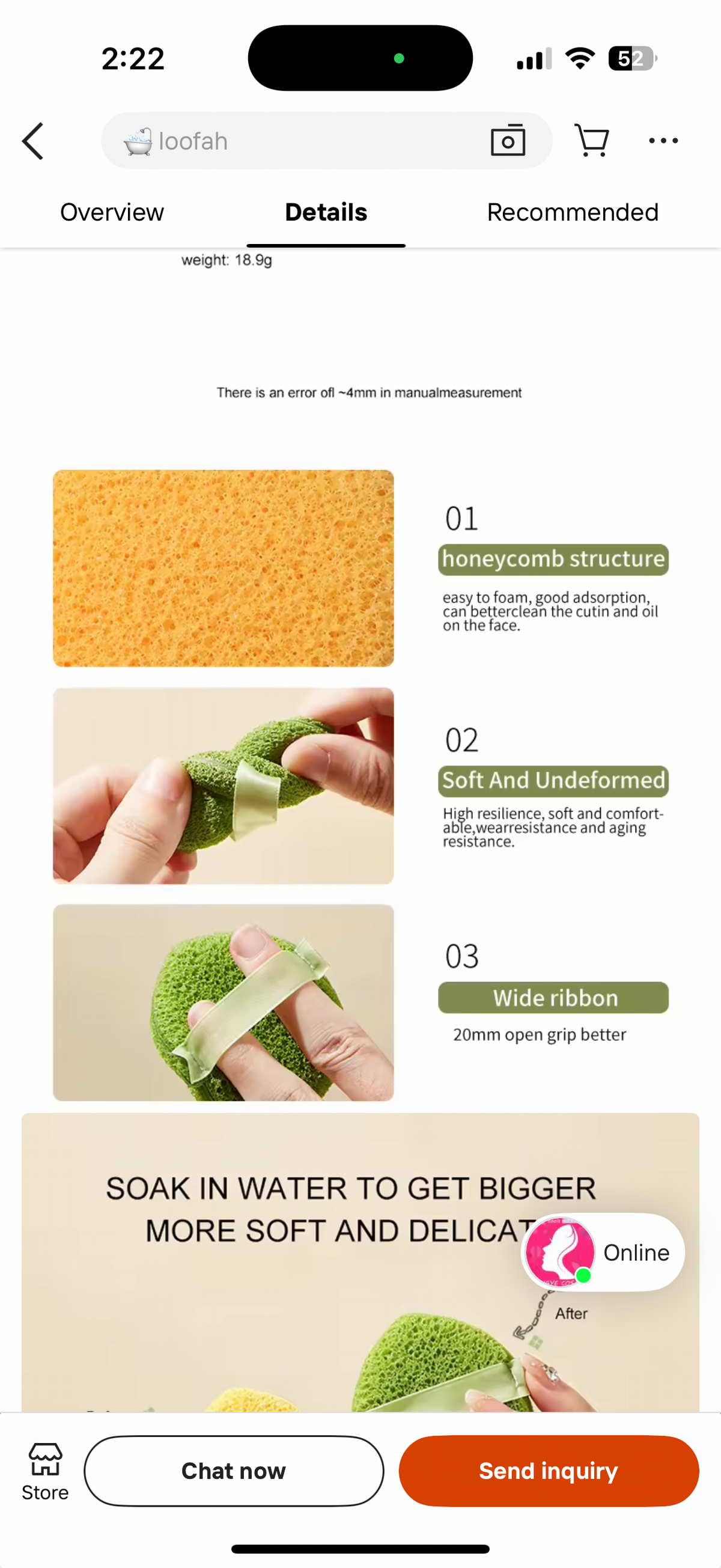 2pcs Mini Face Cleaning Sponge